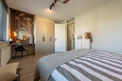 Goudzoeker 21-41.jpg